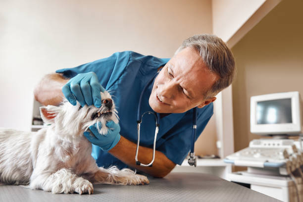 Best Same-Day Emergency Appointments in Brookside, NJ