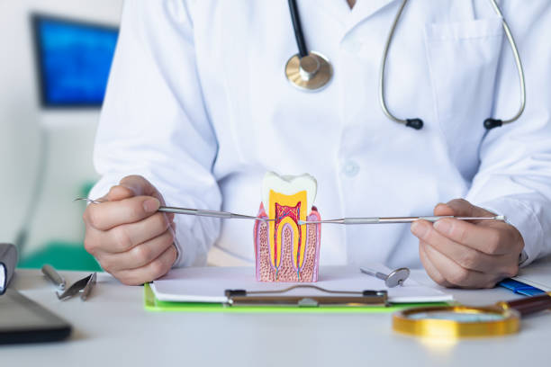 Best Broken or Cracked Tooth Emergency Dentist in Brookside, NJ